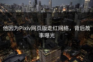 他因为Pixiv网页版走红网络，背后故事曝光