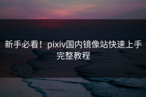 新手必看！pixiv国内镜像站快速上手完整教程