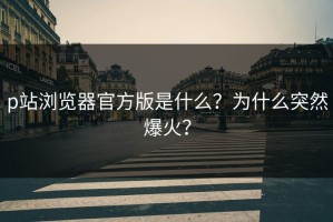 p站浏览器官方版是什么？为什么突然爆火？