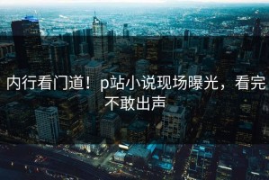 内行看门道！p站小说现场曝光，看完不敢出声