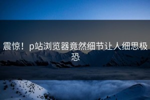 震惊！p站浏览器竟然细节让人细思极恐