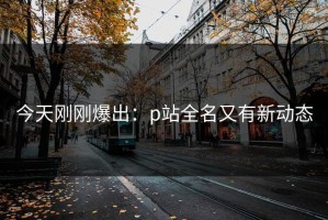 今天刚刚爆出：p站全名又有新动态