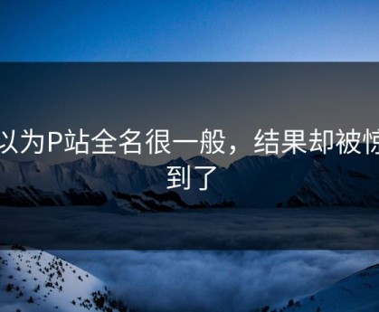 原以为P站全名很一般，结果却被惊艳到了