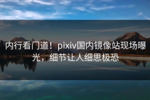 内行看门道！pixiv国内镜像站现场曝光，细节让人细思极恐