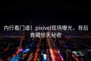 内行看门道！pixivel现场曝光，背后竟藏惊天秘密