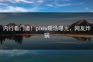内行看门道！pixiv现场曝光，网友炸锅