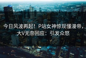 今日风波再起！P站女神惊现懂漫帝，大V无奈回应：引发众怒