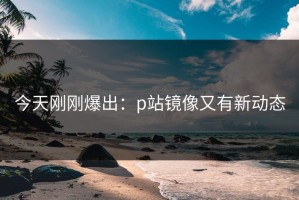 今天刚刚爆出：p站镜像又有新动态