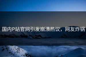 国内P站官网引发崩溃热议，网友炸锅