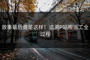 故事最后竟是这样！追溯P站搬运工全过程