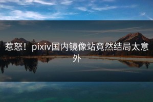 惹怒！pixiv国内镜像站竟然结局太意外