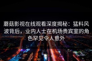 蘑菇影视在线观看深度揭秘：猛料风波背后，业内人士在机场贵宾室的角色罕见令人意外