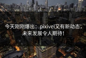 今天刚刚爆出：pixivel又有新动态，未来发展令人期待！