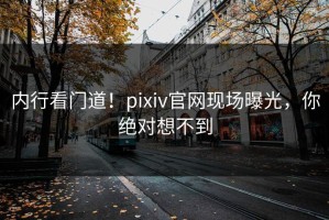 内行看门道！pixiv官网现场曝光，你绝对想不到