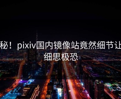 隐秘！pixiv国内镜像站竟然细节让人细思极恐