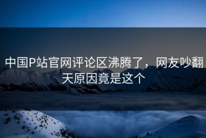 中国P站官网评论区沸腾了，网友吵翻天原因竟是这个