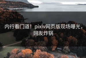 内行看门道！pixiv网页版现场曝光，网友炸锅