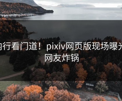 内行看门道！pixiv网页版现场曝光，网友炸锅