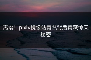 离谱！pixiv镜像站竟然背后竟藏惊天秘密