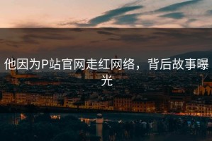 他因为P站官网走红网络，背后故事曝光