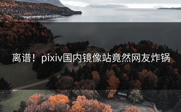 离谱！pixiv国内镜像站竟然网友炸锅