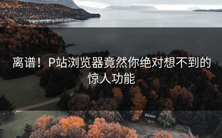 离谱！P站浏览器竟然你绝对想不到的惊人功能