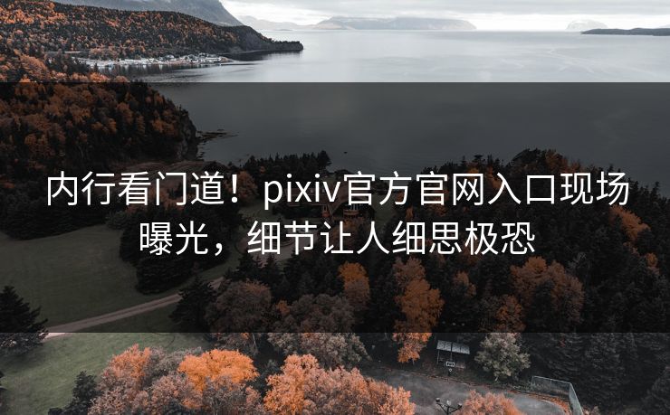 内行看门道！pixiv官方官网入口现场曝光，细节让人细思极恐