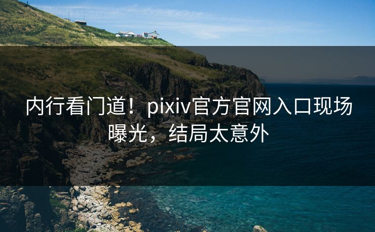 内行看门道！pixiv官方官网入口现场曝光，结局太意外