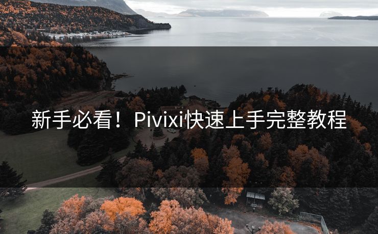 新手必看！Pivixi快速上手完整教程