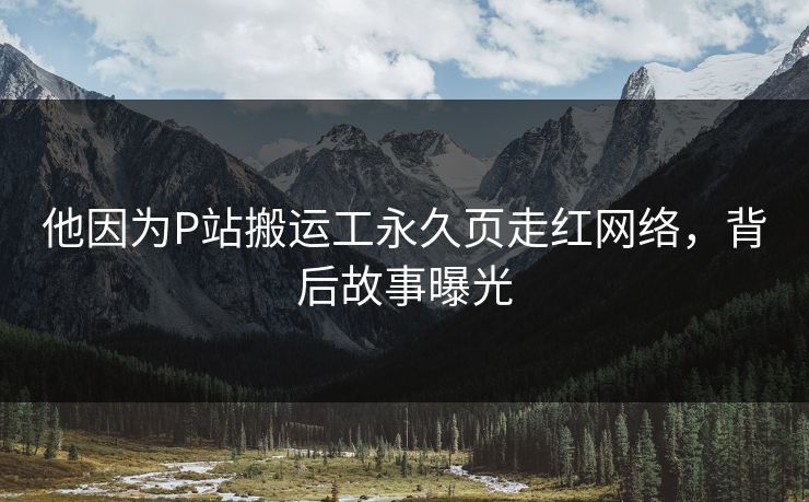 他因为P站搬运工永久页走红网络，背后故事曝光