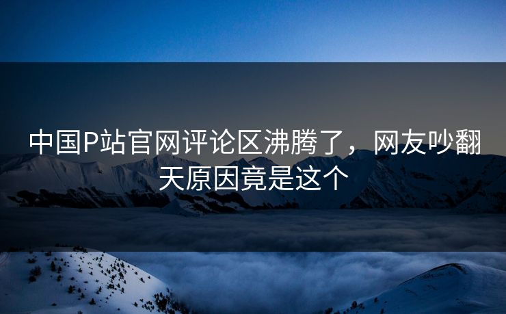 中国P站官网评论区沸腾了，网友吵翻天原因竟是这个