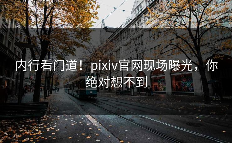 内行看门道！pixiv官网现场曝光，你绝对想不到