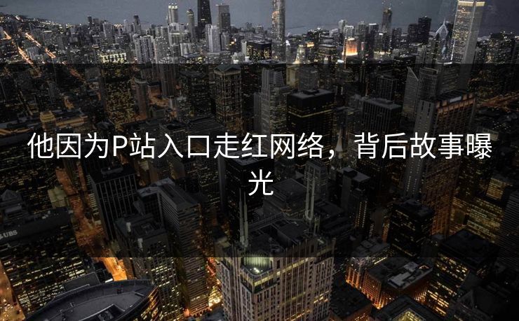 他因为P站入口走红网络，背后故事曝光