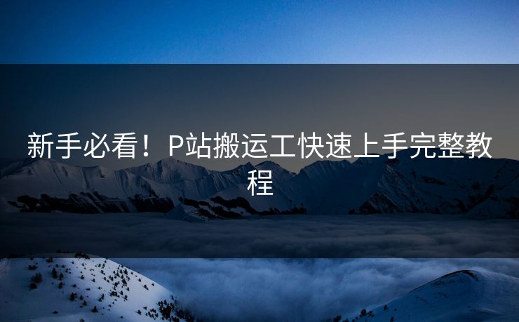 新手必看！P站搬运工快速上手完整教程