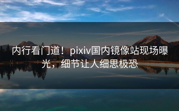 内行看门道！pixiv国内镜像站现场曝光，细节让人细思极恐