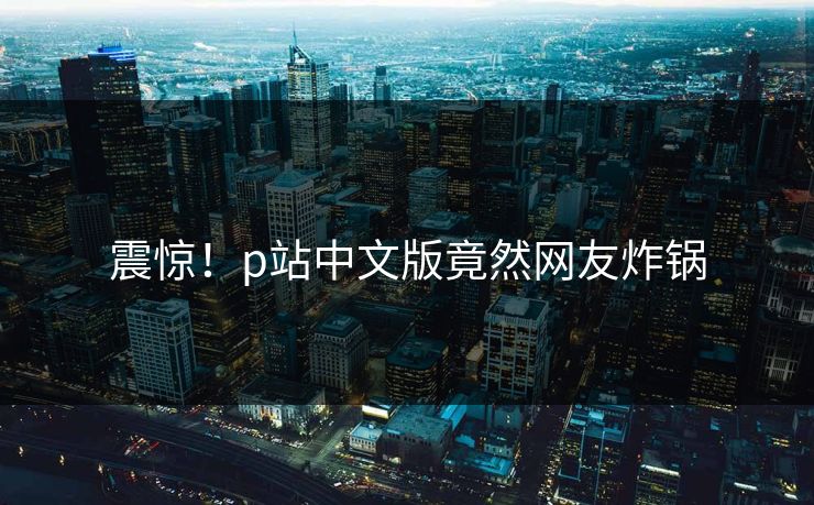 震惊！p站中文版竟然网友炸锅