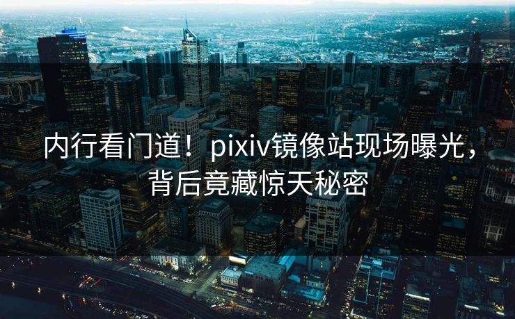内行看门道！pixiv镜像站现场曝光，背后竟藏惊天秘密
