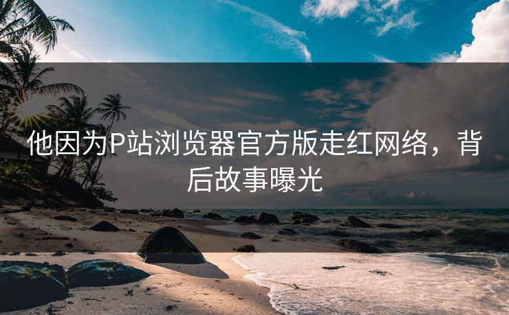 他因为P站浏览器官方版走红网络，背后故事曝光
