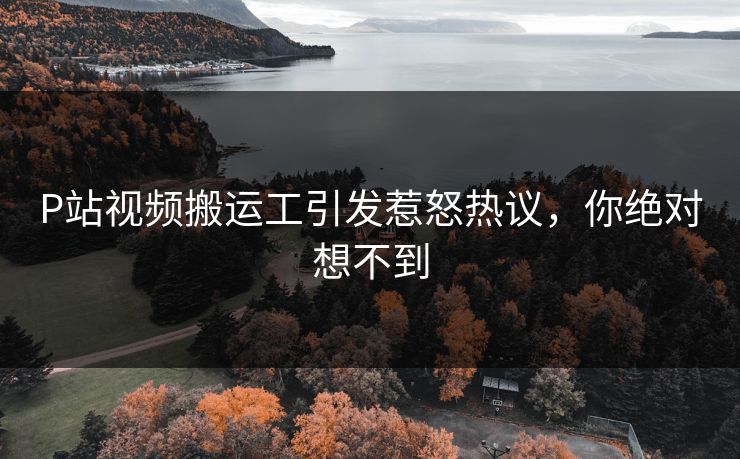 P站视频搬运工引发惹怒热议，你绝对想不到
