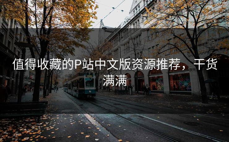 值得收藏的P站中文版资源推荐，干货满满