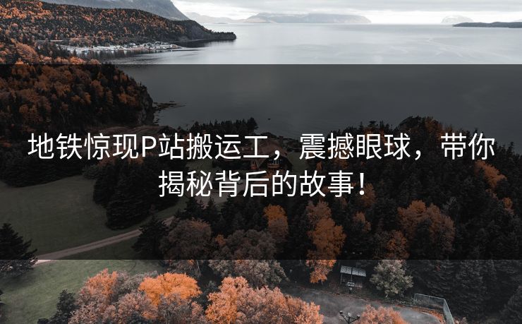 地铁惊现P站搬运工，震撼眼球，带你揭秘背后的故事！