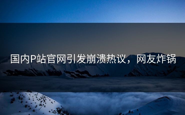 国内P站官网引发崩溃热议，网友炸锅