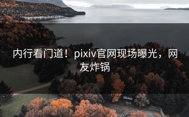内行看门道！pixiv官网现场曝光，网友炸锅