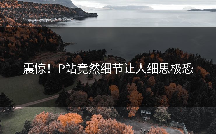 震惊！P站竟然细节让人细思极恐