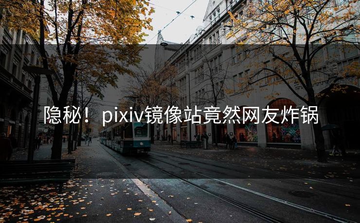 隐秘！pixiv镜像站竟然网友炸锅