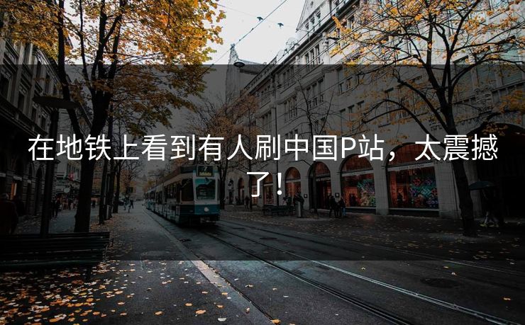 在地铁上看到有人刷中国P站，太震撼了！