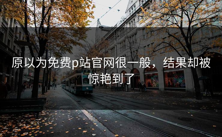 原以为免费p站官网很一般，结果却被惊艳到了