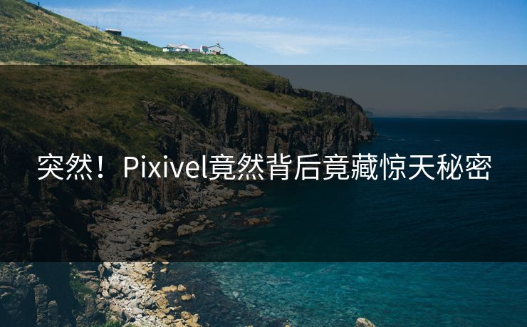 突然！Pixivel竟然背后竟藏惊天秘密