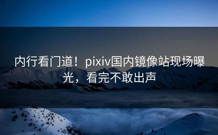 内行看门道！pixiv国内镜像站现场曝光，看完不敢出声