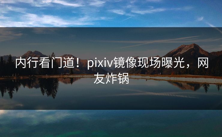 内行看门道！pixiv镜像现场曝光，网友炸锅